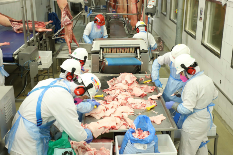 Valor das exportações de carne suína sobe 29,3% em maio