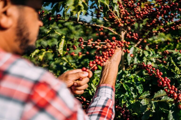 Agropecuária volta a gerar empregos formais em abril