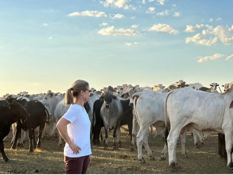 Tudo é culpa do Agro?