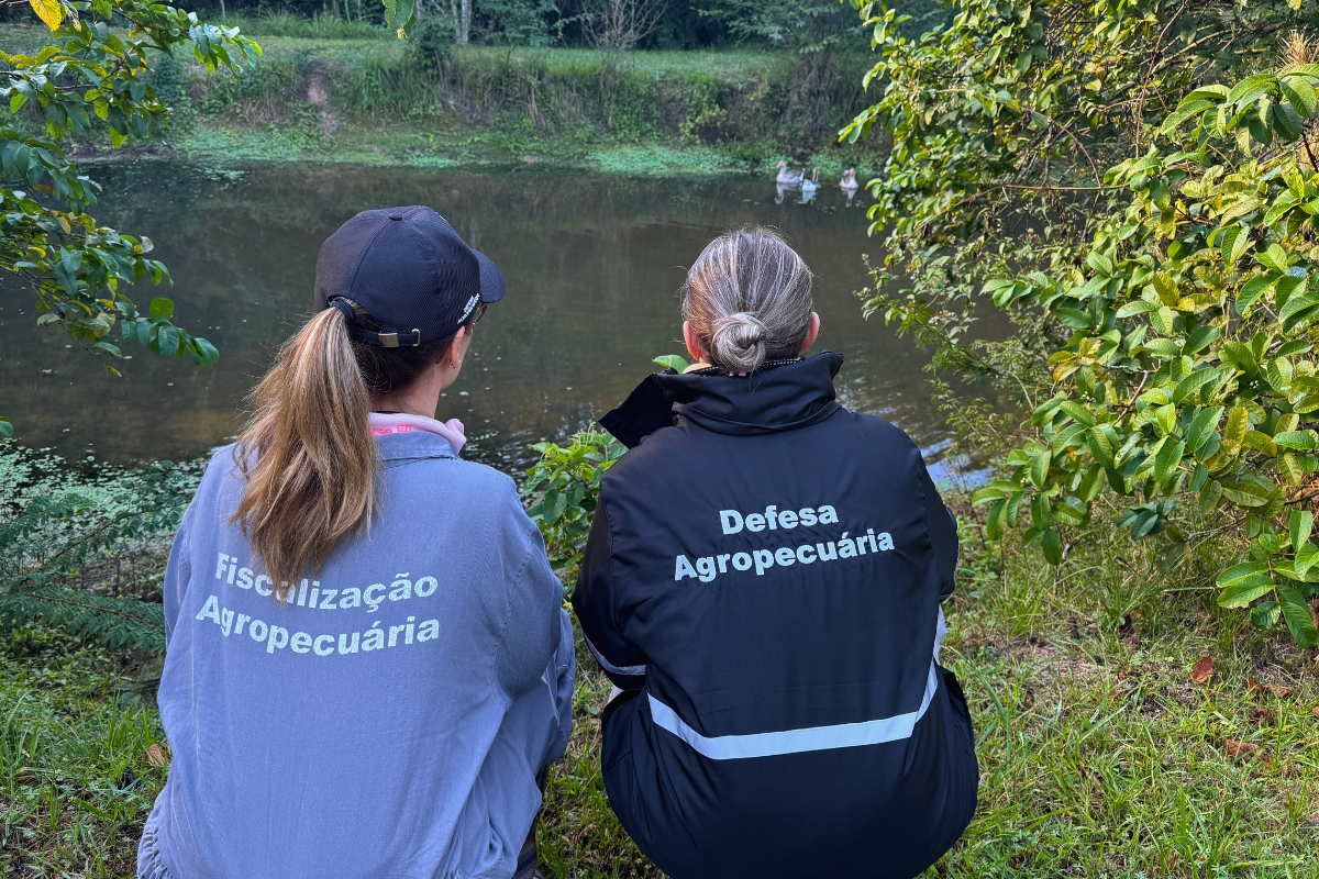 Foto: Ascom Seapi/Divulgação