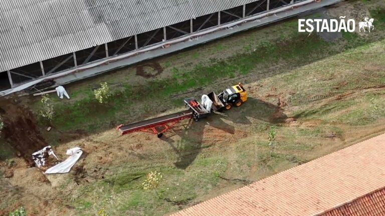  Granja com foco de gripe aviária passa por desinfecção