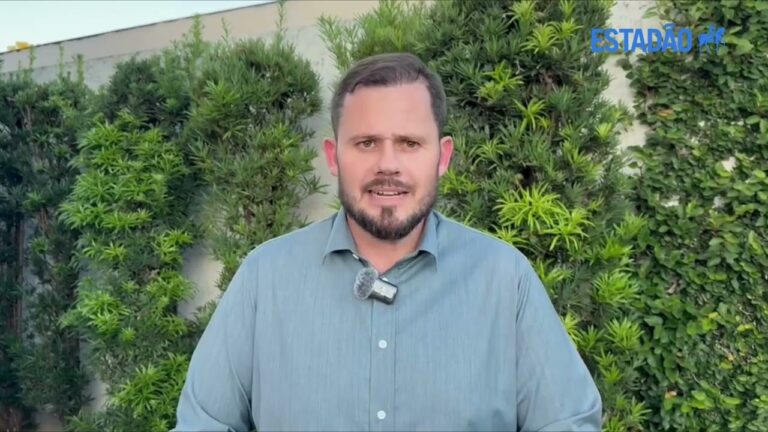  MT: produção do milho safrinha deve surpreender