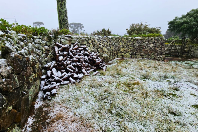 Após neve no Sul, frente fria se afasta e risco de geada diminui no país