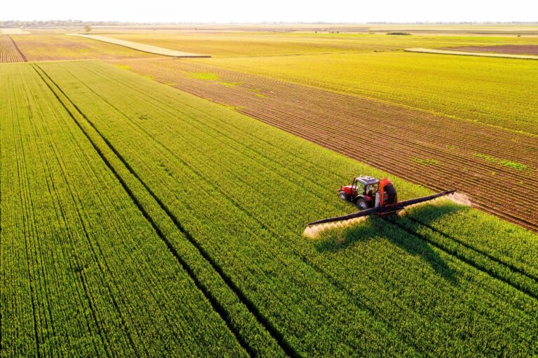 CNA: nova projeção indica crescimento de 13,1% do VBP da agropecuária em 2025