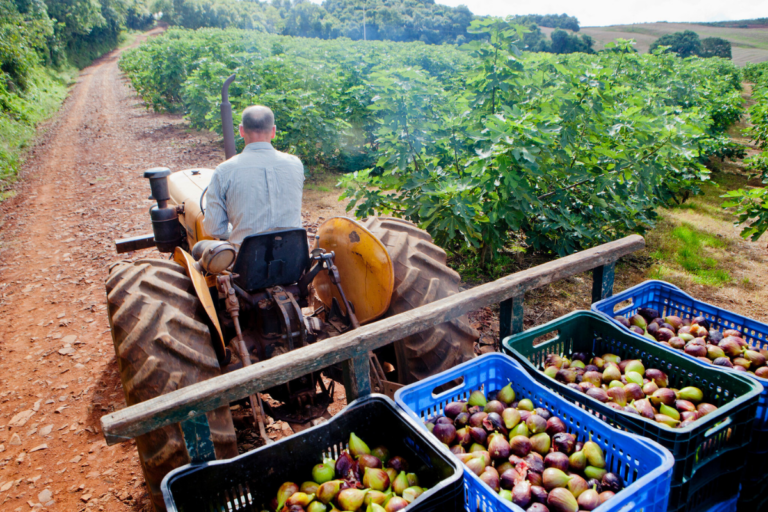 BNDES lança programa de R$ 60 milhões para bioinsumos na agricultura familiar