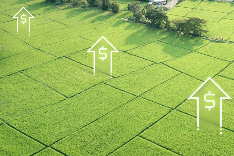 Taxação das LCAs: entidades do agro repudiam MP do governo federal  