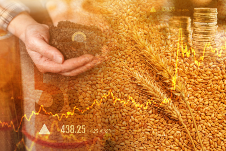 Crise no Oriente Médio: estratégias de proteção para o agro brasileiro