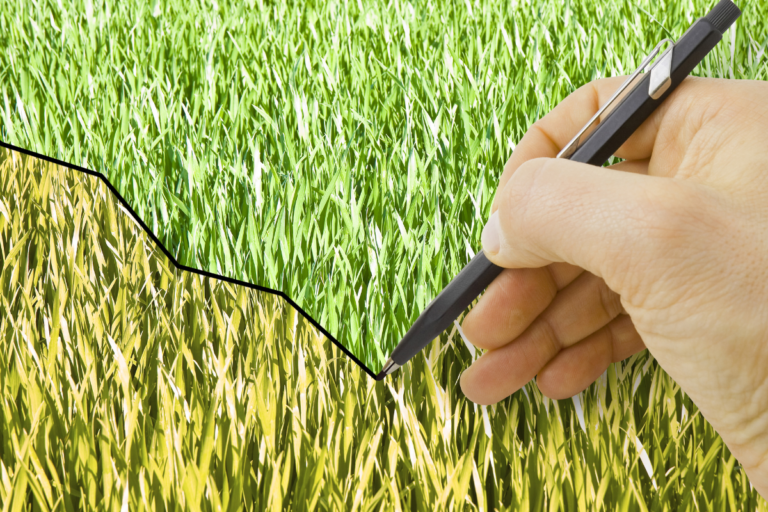 Ministério ajusta para baixo projeção de VBP agrícola