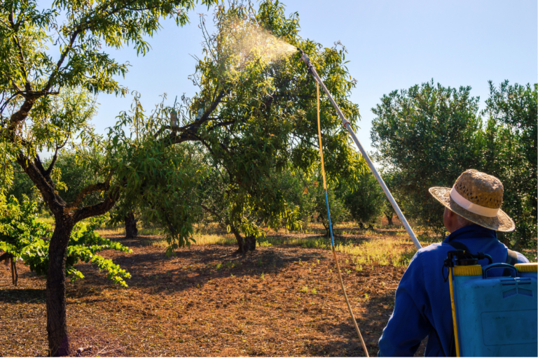 Governo lança programa para reduzir o uso de agrotóxicos 