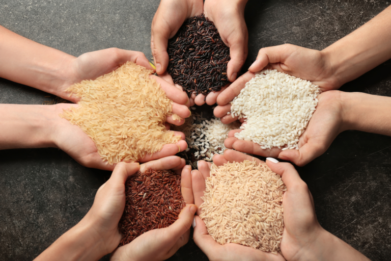 Governo dá início ao Programa Arroz da Gente 