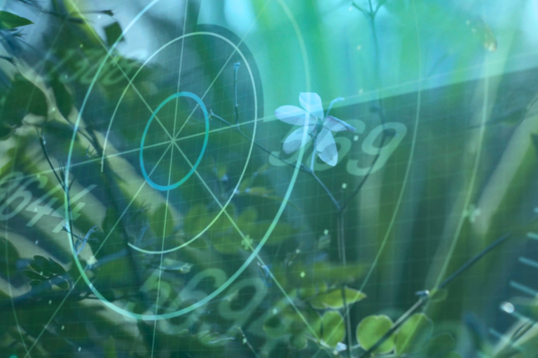 Por que o Brasil precisa de um Radar Sanitário Agropecuário?