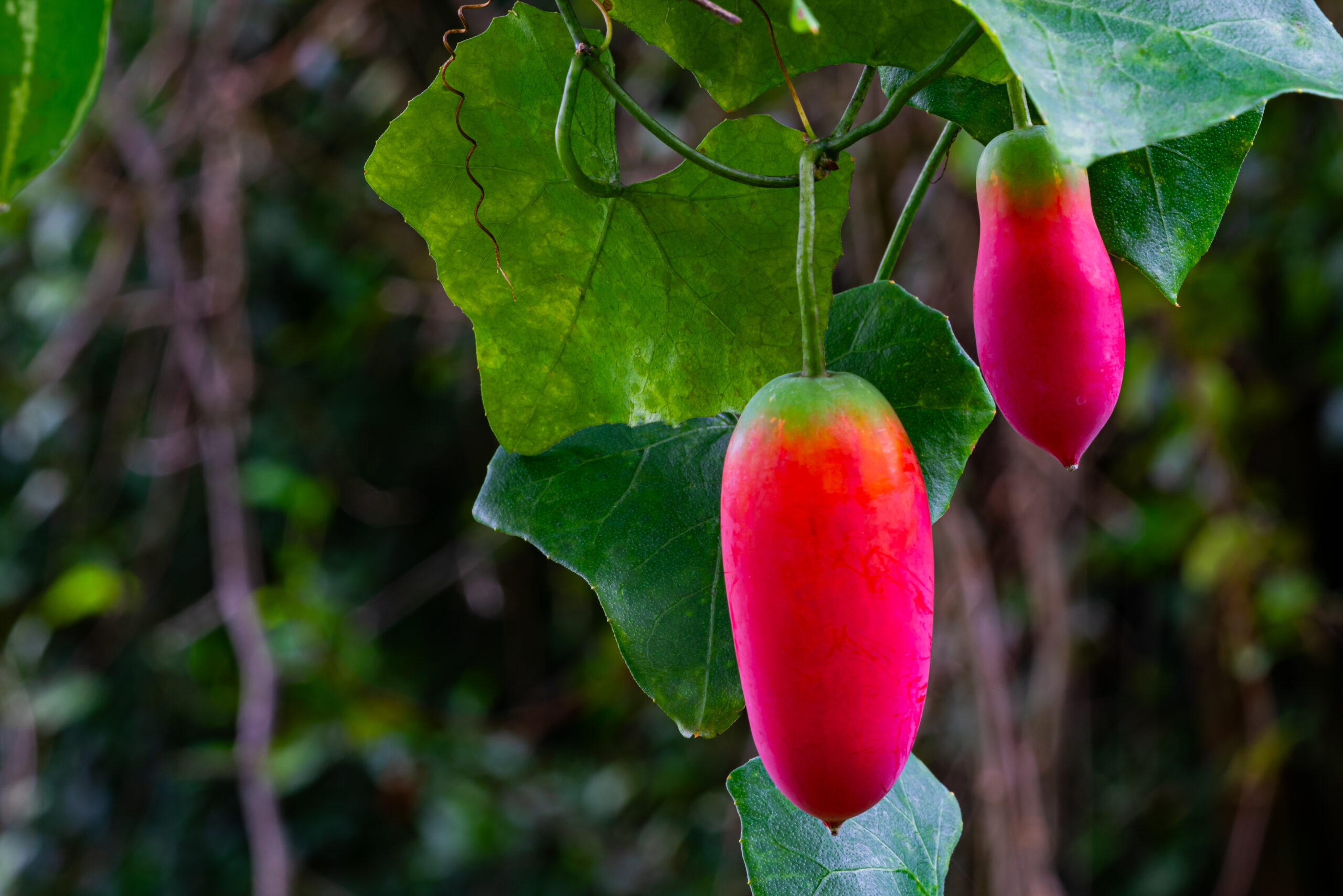 Foto: Adobe Stock