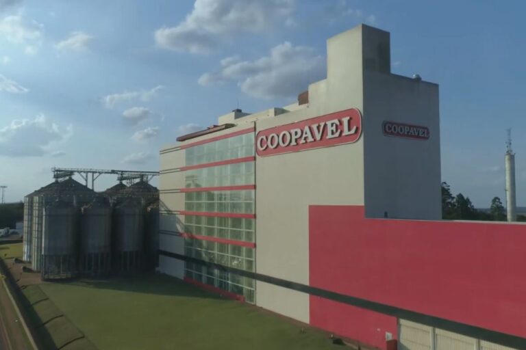 Com aporte milionário, Coopavel irá ampliar capacidade industrial e de armazenagem