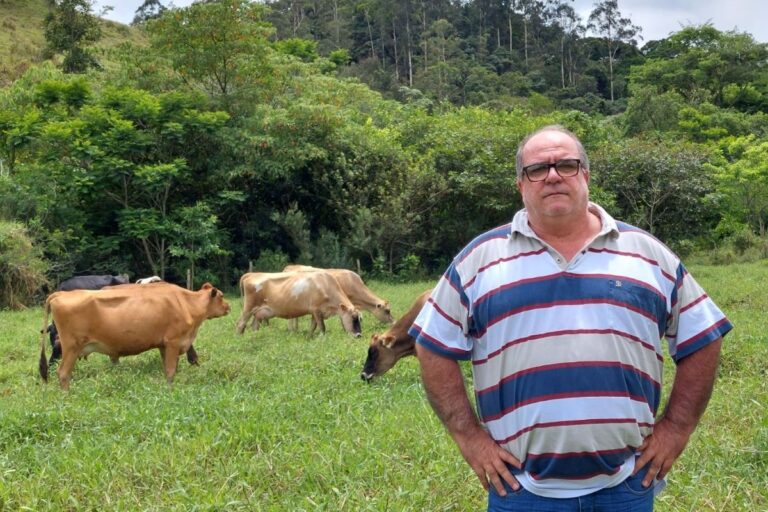 Produção de queijos artesanais e turismo agregam valor à pecuária leiteira paulista