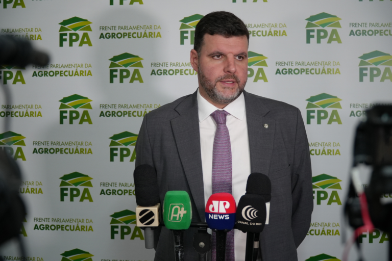 "A gente simplesmente não pode aceitar", diz presidente da FPA sobre LCAs