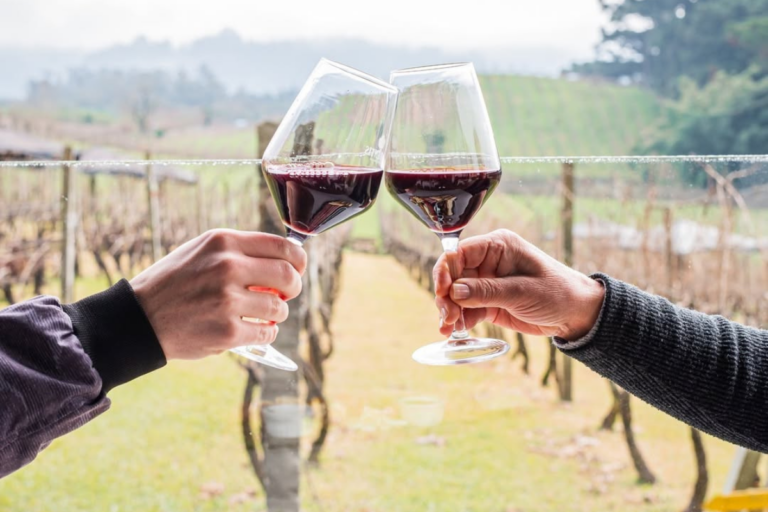 Rotas ideais para casais, amantes do vinho e aventureiros do sabor
