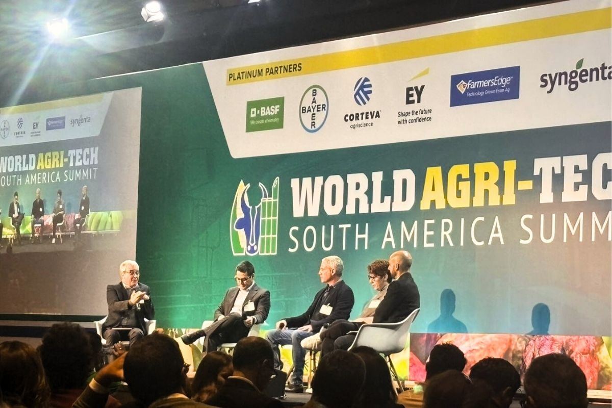 Foto: Sabrina Nascimento/Agro Estadão