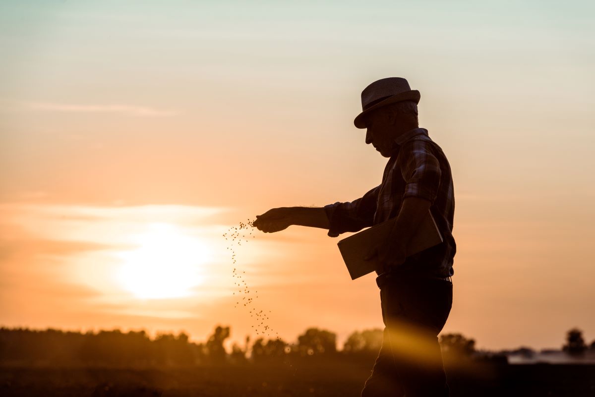Produtores que tiveram a renda comprometida por eventos climáticos podem pedir prorrogação - Foto: Adobe Stock
