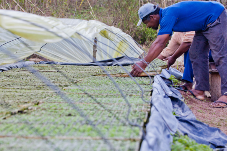 Câmara amplia obrigatoriedade de compra de alimentos da agricultura familiar no PNAE