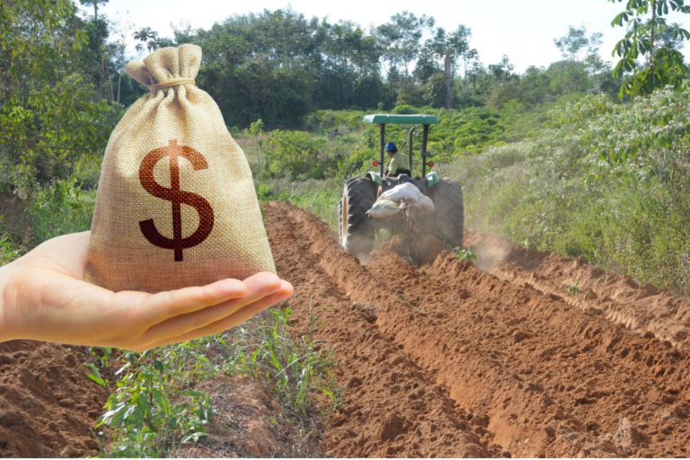 Plano Safra terá R$ 89 bi para agricultura familiar