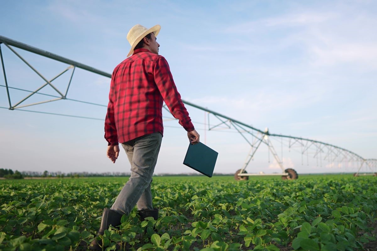 Segundo a Aprosoja-MT, sobretaxa para irrigantes ultrapassa R$ 60 por hectare - Foto: Adobe Stock