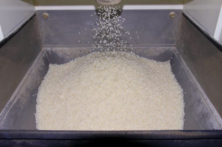 Banco Mundial: preços das commodities agrícolas devem ficar estáveis em 2025