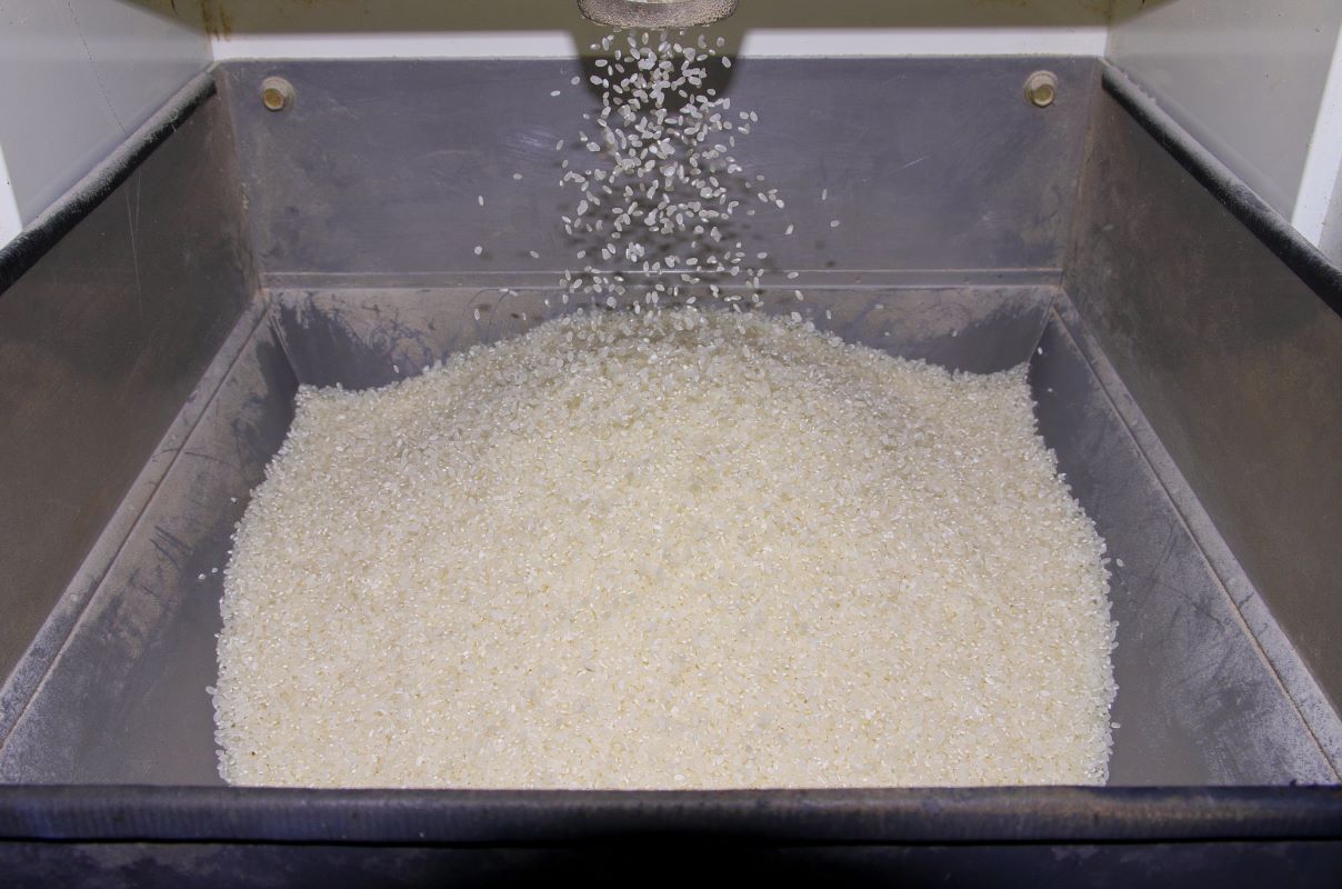 Entre os motivos para a queda no preço dos alimentos, está o avanço nos estoques de arroz - Foto: Adobe Stock