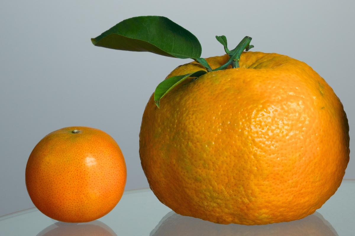 Foto: Adobe Stock