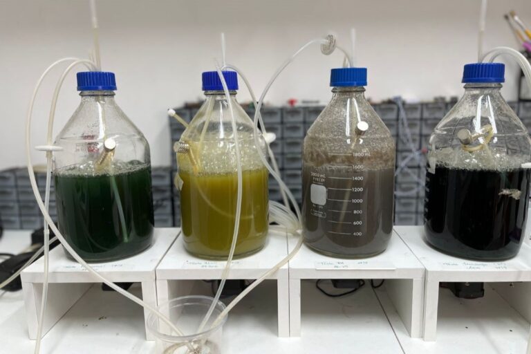 Biorreator de R$ 1 mil cobre até 10 hectares com bioinsumos