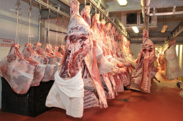 Preço da carne bovina exportada por MT supera a marca de US$ 4.000/t