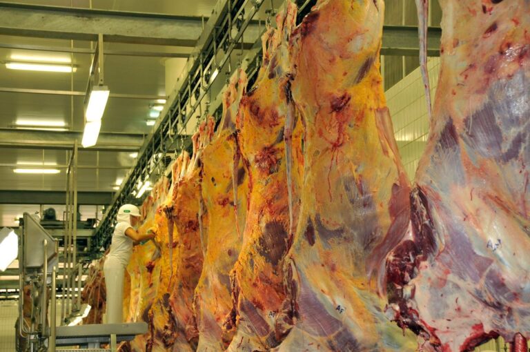 Receita das exportações brasileiras de carne bovina cresce 19,6% em maio