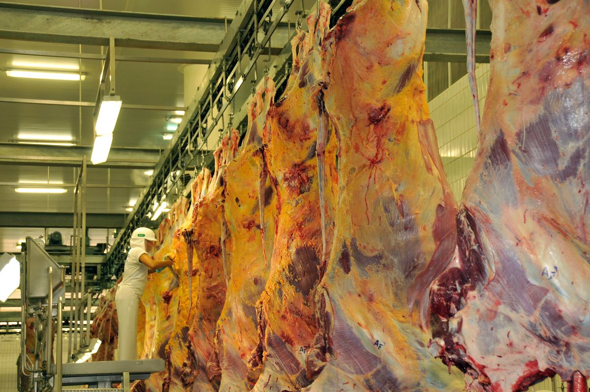 Volume de carne bovina embarcado em maio somou 296 mil toneladas - Foto: Adobe Stock