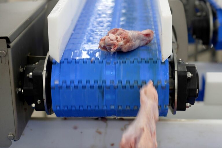 Após caso de gripe aviária, exportações de carne de aves e miudezas caem 12,9%