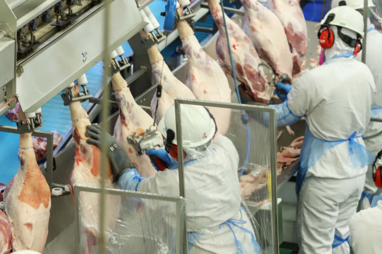 Brasil tem recorde em exportações de carne suína para maio 