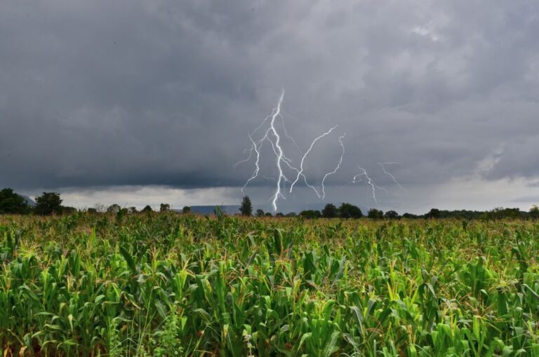 Chuvas intensas afetam áreas agrícolas do RS nesta semana