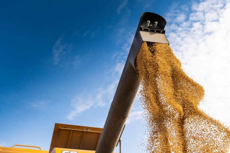 Índice de Commodities do Banco Central cai 1,03% em maio ante abril