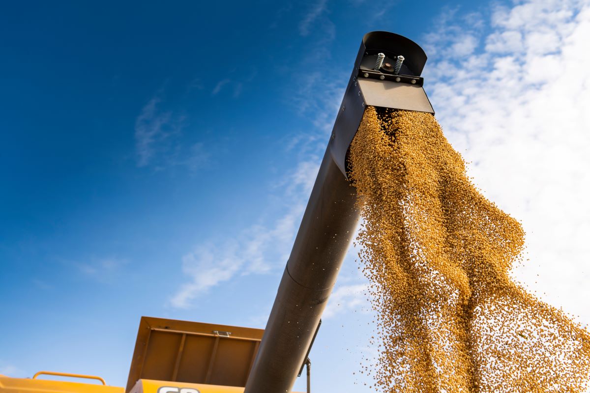 Queda das commodities agropecuárias foi de 0,68% - Foto: Adobe Stock
