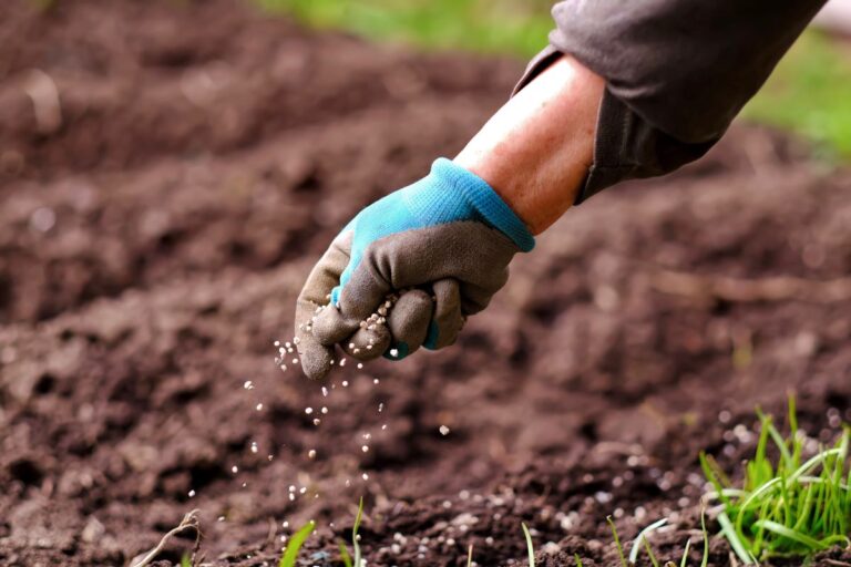 Compra de fertilizantes segue lenta e amplia riscos à safra 2025/26