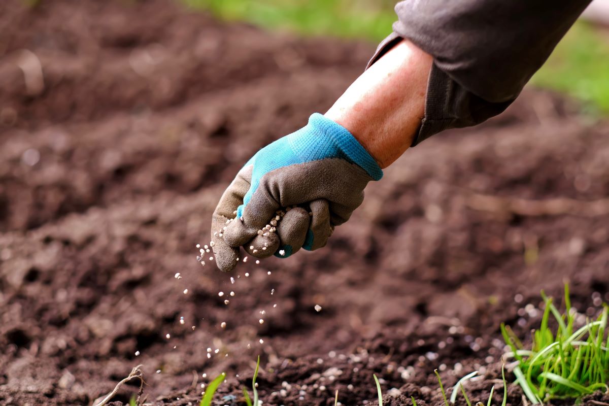 Em Mato Grosso, cerca de 85% dos fertilizantes já foram adquiridos - Foto: Adobe Stock
