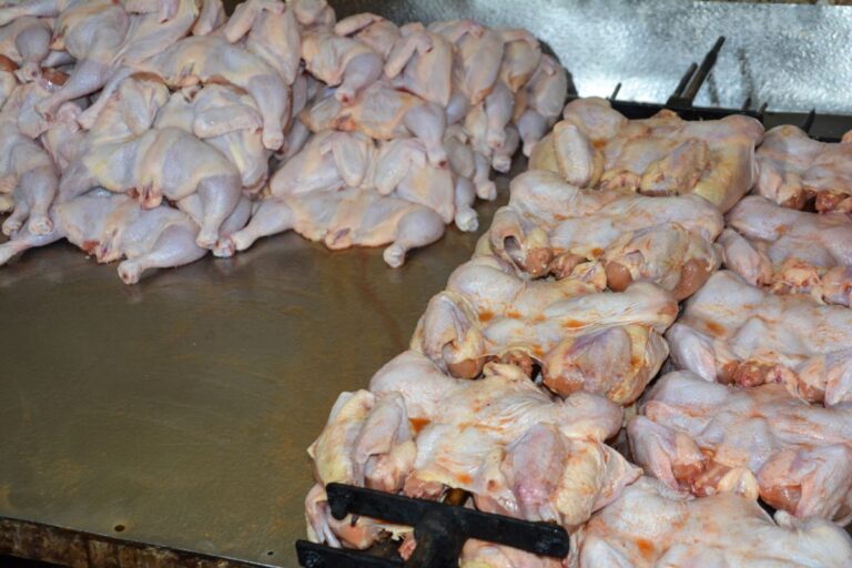 África do Sul retoma importações de frango brasileiro, mas mantém restrição ao RS
