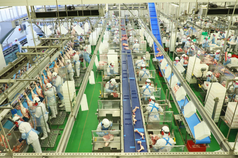 Santa Catarina busca abrir mercado japonês para carne bovina do estado 