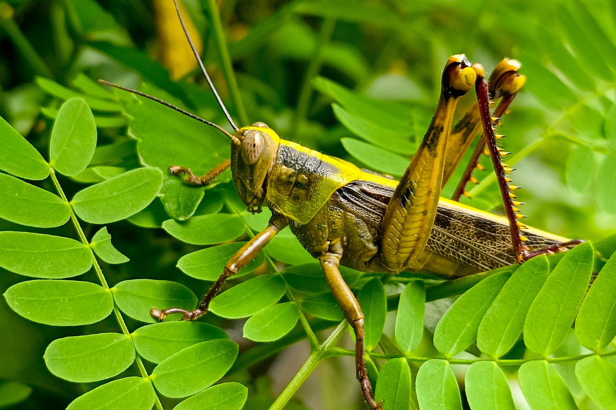 Foto: Adobe Stock