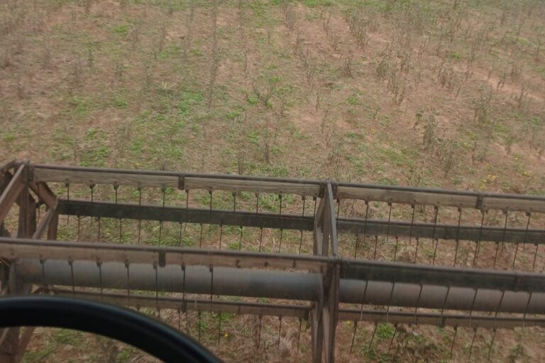 Farsul pede prorrogação de 90 dias para dívidas de produtores gaúchos