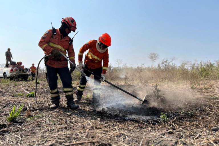 MT: período proibitivo do uso do fogo no Pantanal está em vigor