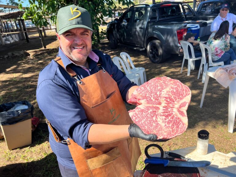 Ultrassom ajuda a selecionar o gado na busca por carne de qualidade 