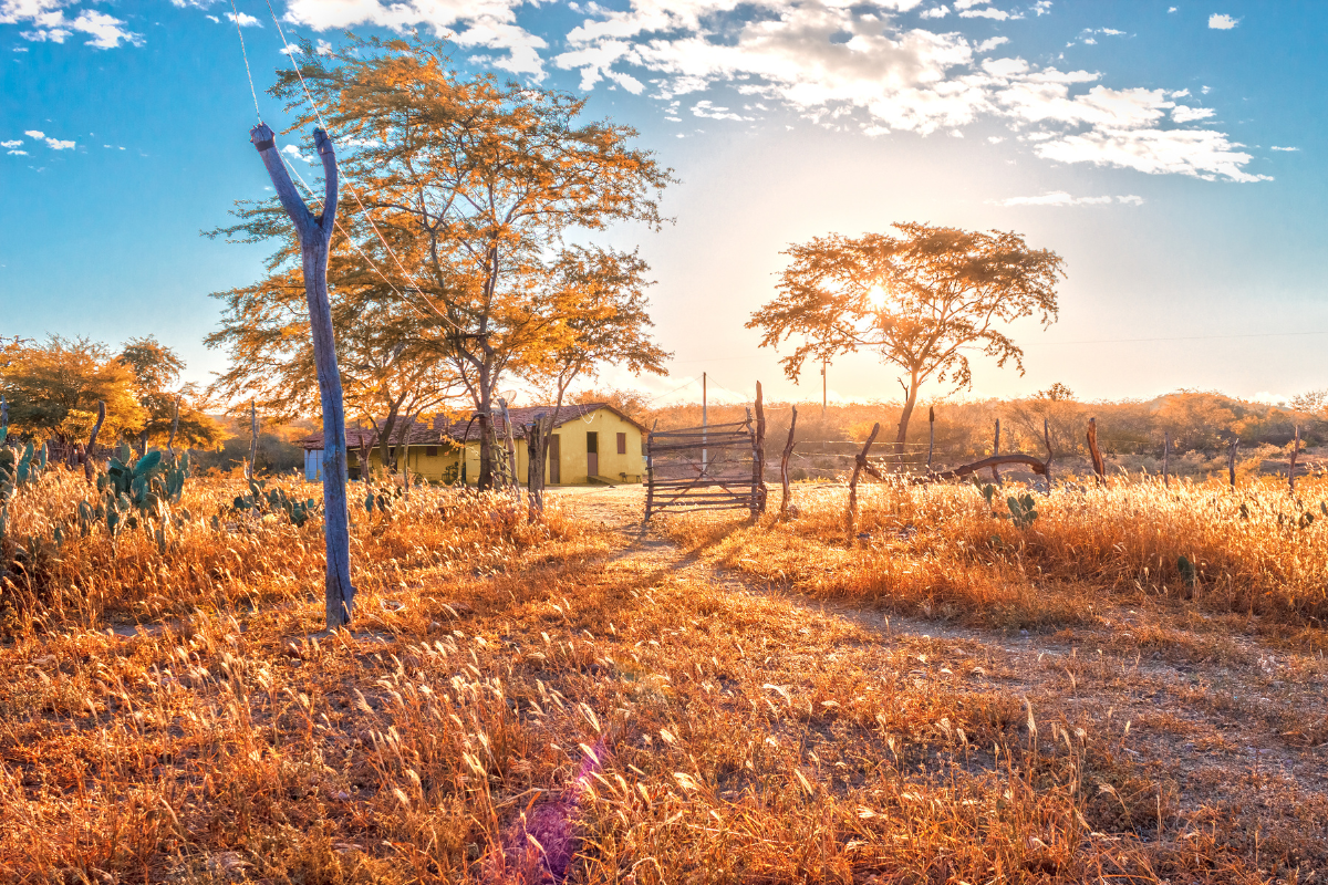 Foto: Agência Brasil/Divulgação