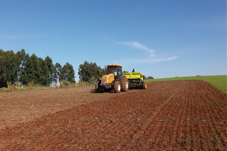 Emater: chuva limita plantio de trigo no RS
