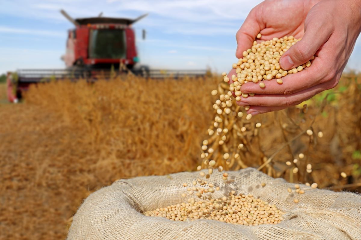 Para a CNA, tributação de títulos com as LCAs vão diminuir atratividade do agro aos investidores - Foto: Adobe Stock