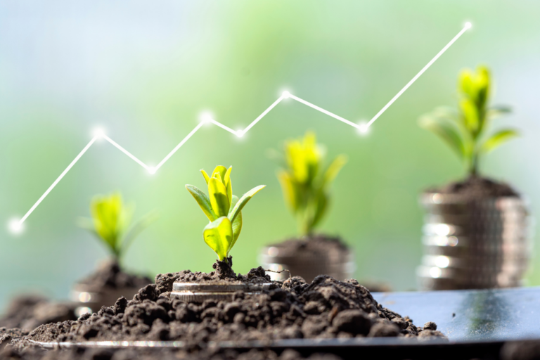 Agfintechs crescem e viram alternativa para suprir demanda por crédito rural