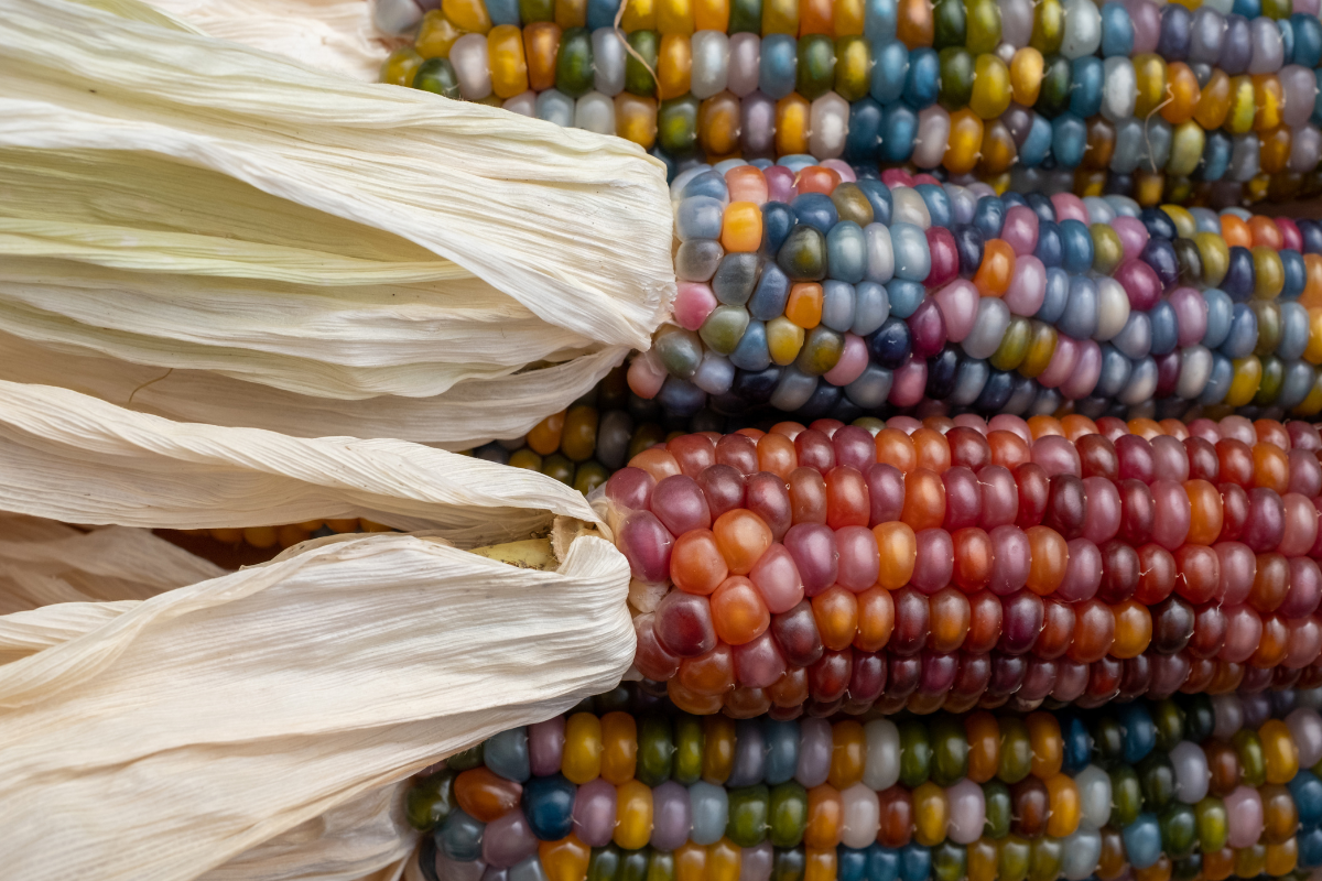 Foto: Adobe Stock
